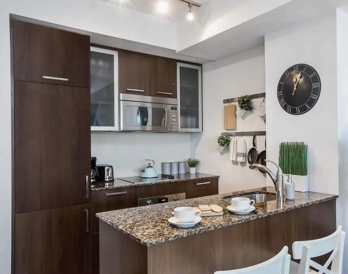 Downtown Toronto Condo Close To Cn Tower!! 0*,